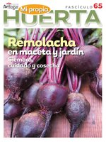 La Huerta en Casa